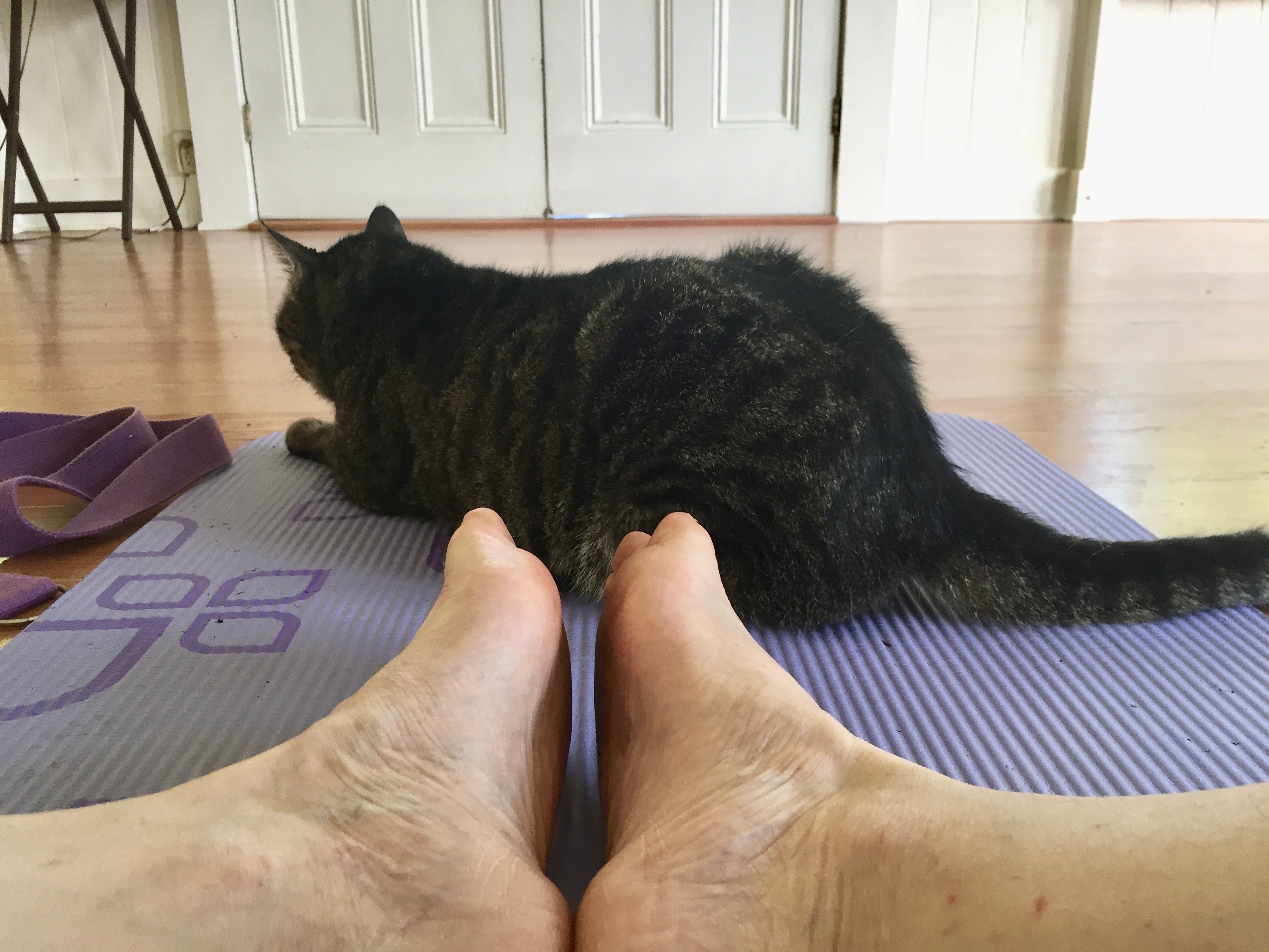 yogacatat fe